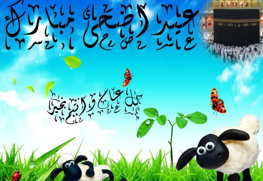 اجمل الصور لعيد الاضحى المبارك