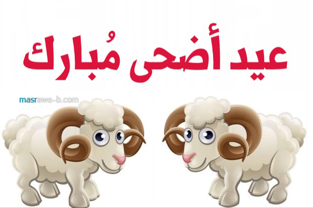 اجمل الصور لعيد الاضحى المبارك