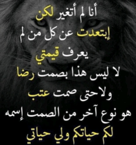 اجمل بيت شعر عن قسوة الحبيب