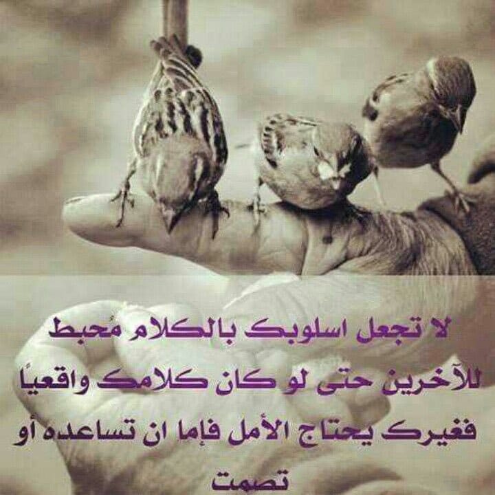اجمل حالات واتس اب