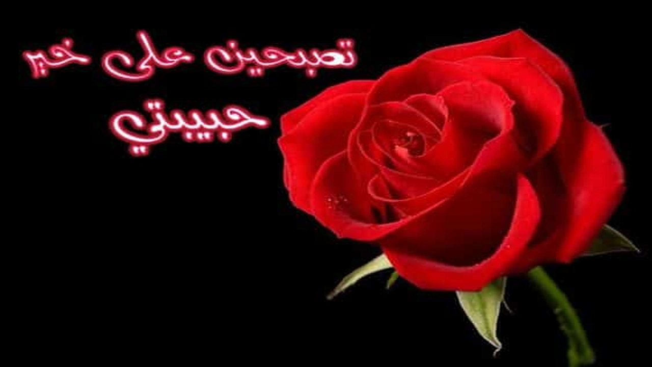 صورة اجمل رسائل تصبح على خير حبيبتي
