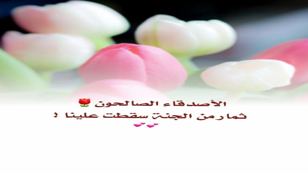 صورة اجمل كلام في حب الاصدقاء