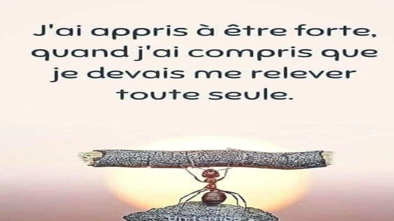 صورة اجمل كلمات بالفرنسي