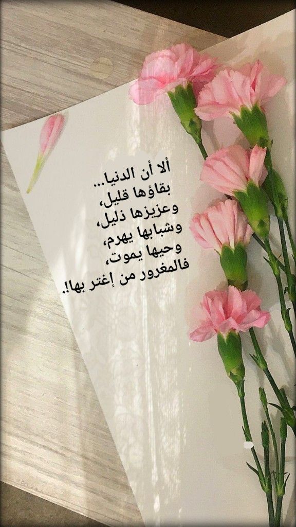 اجمل كلمات شعر عن الحب