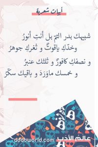 اجمل كلمات شعر عن الحب