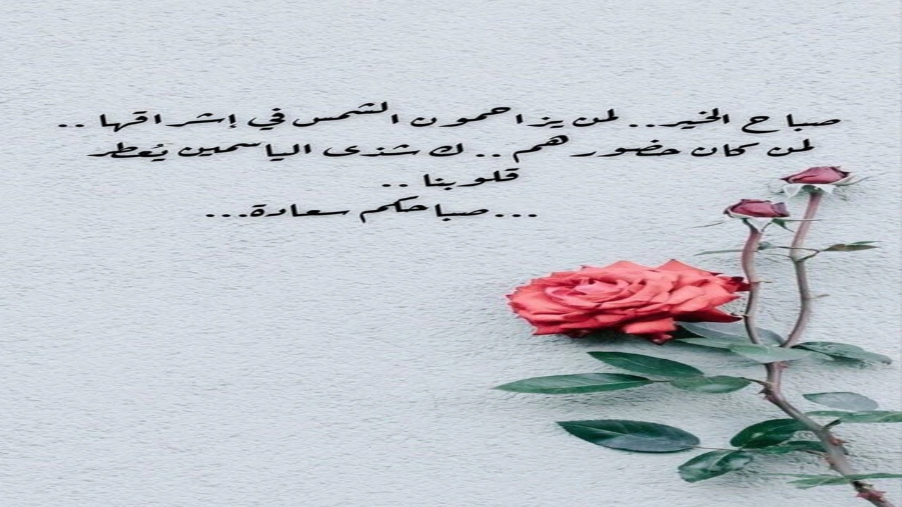 صورة اجمل كلمات صباحية للاصدقاء