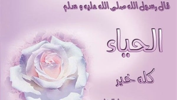 اجمل ما قيل عن الحياء