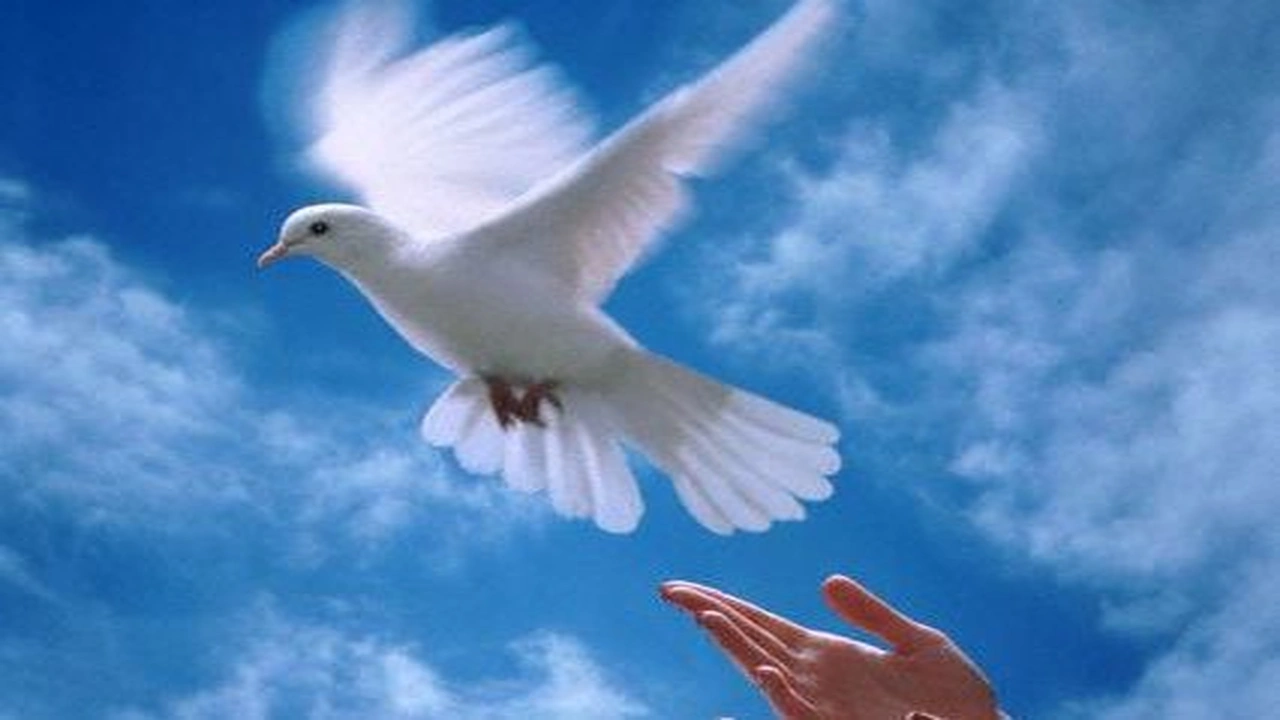 صورة اجمل ما قيل عن السلام