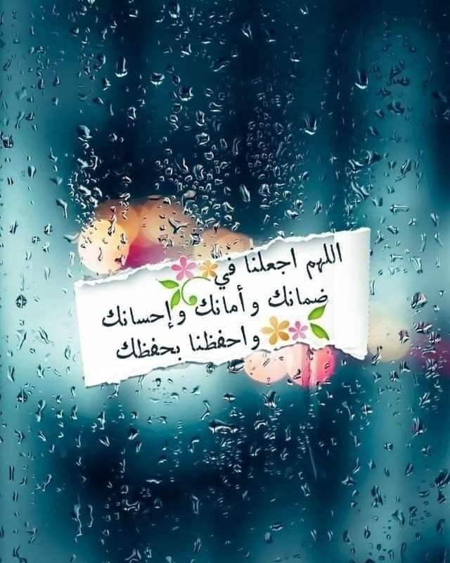اجمل ما قيل عن المطر