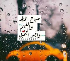 اجمل ما قيل عن المطر