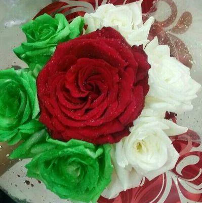 اجمل وردة حب في العالم