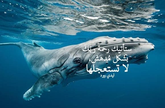 احلى كلام حزين