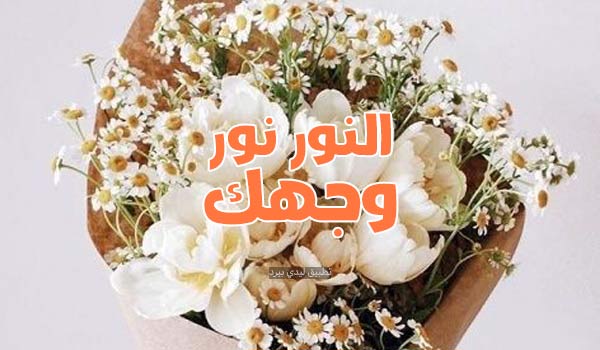 اذا احد قالي منوره وش ارد