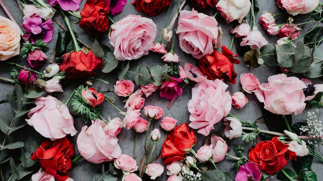 صورة اذا احد قالي منوره وش ارد