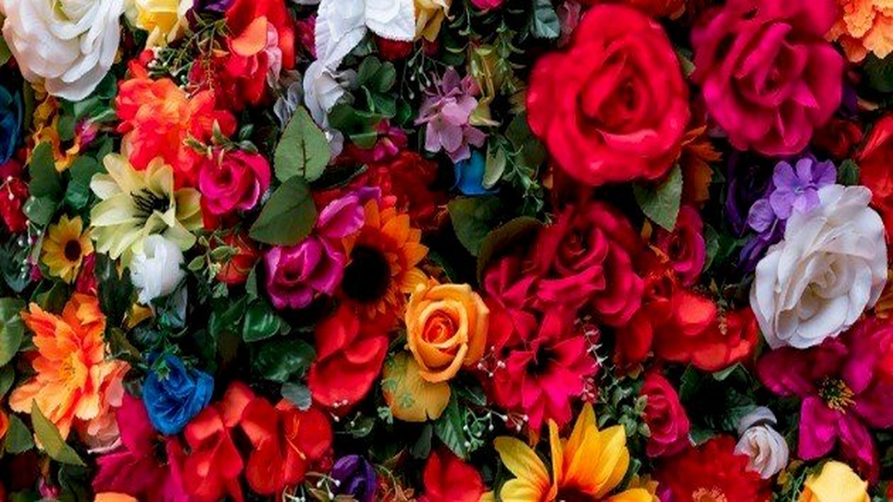 صورة اذاعة مدرسية عن الزهور