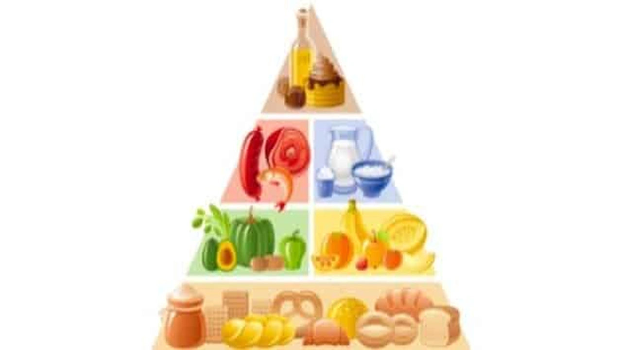 صورة اذاعة مدرسية عن الهرم الغذائي