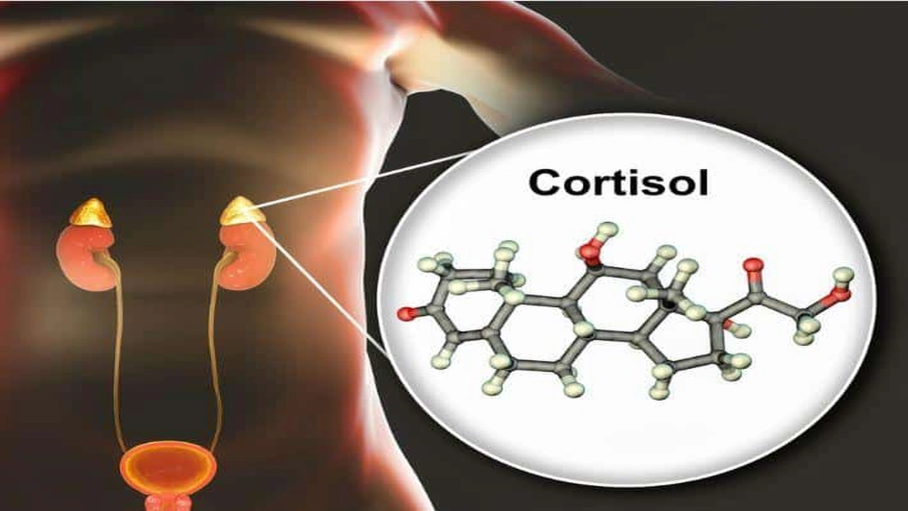 صورة ازالة هرمون الكورتيزول