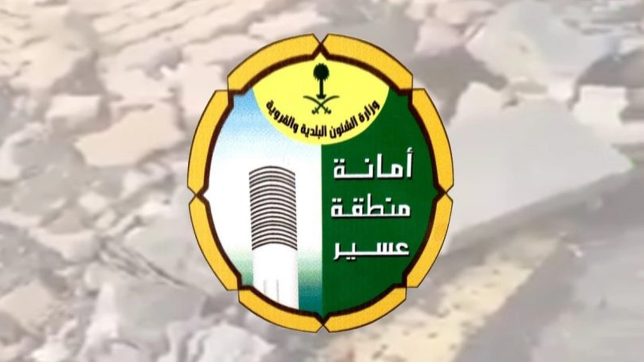 صورة استعلام امانة عسير