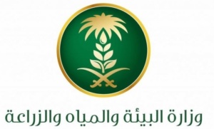 استعلام عن دعم المواشي