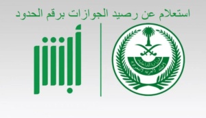 استعلام عن رصيد الجوازات برقم الحدود