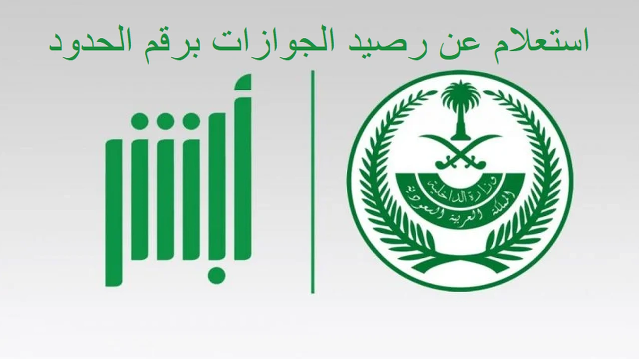 صورة استعلام عن رصيد الجوازات برقم الحدود