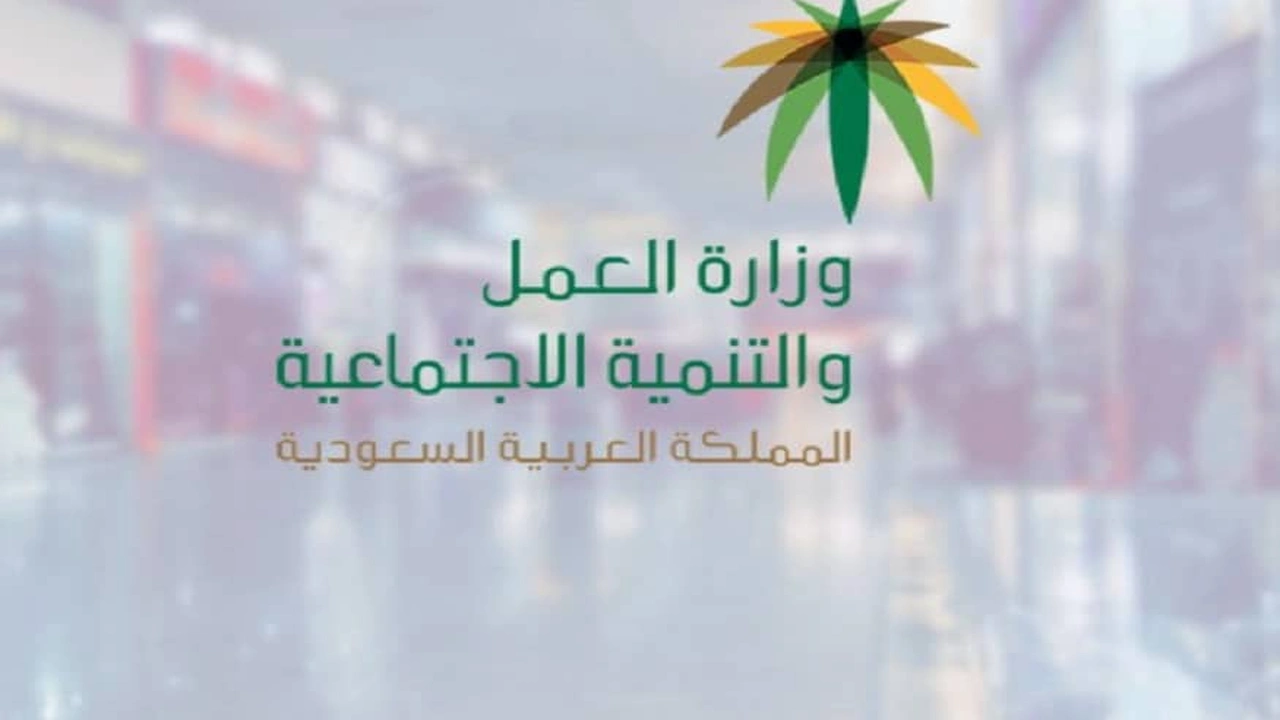صورة استعلام عن منشأة برقم السجل