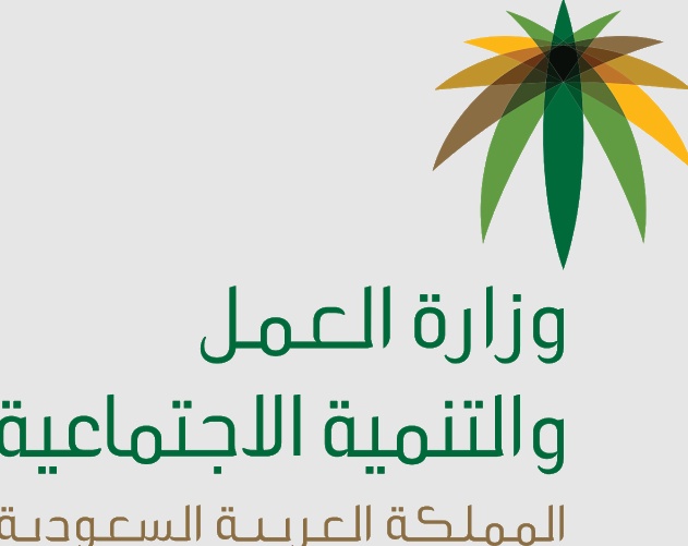 استعلام عن موظف وافد