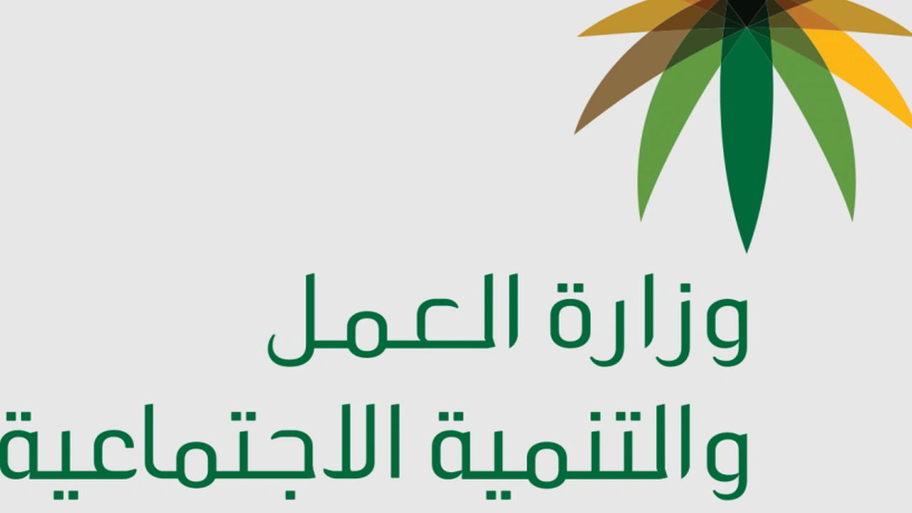 صورة استعلام عن موظف وافد