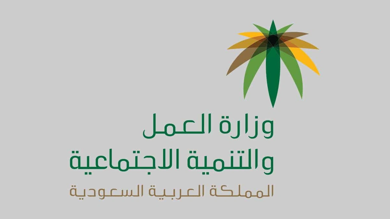 صورة استعلام عن نطاق المؤسسة