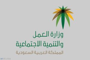 استعلام عن وافد برقم السداد