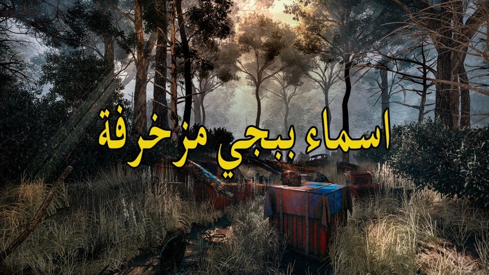 اسماء ببجي مزخرفة