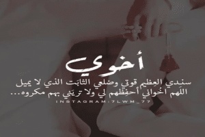 اشعار عن الاخ