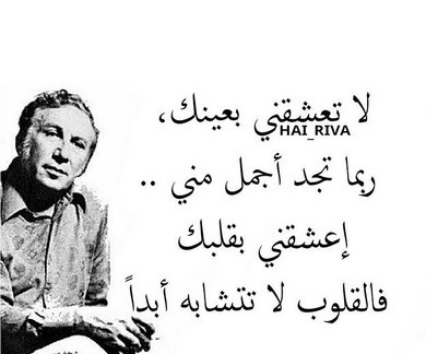 اشعار عن الحب
