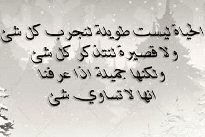 اشعار عن الحياة جميلة