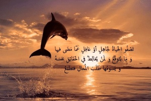 اشعار عن الحياة جميلة