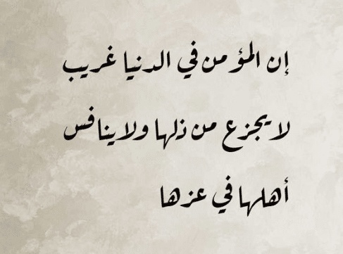 اشعار عن الدنيا وهمومها