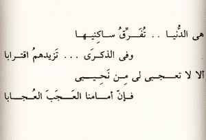 اشعار عن الدنيا