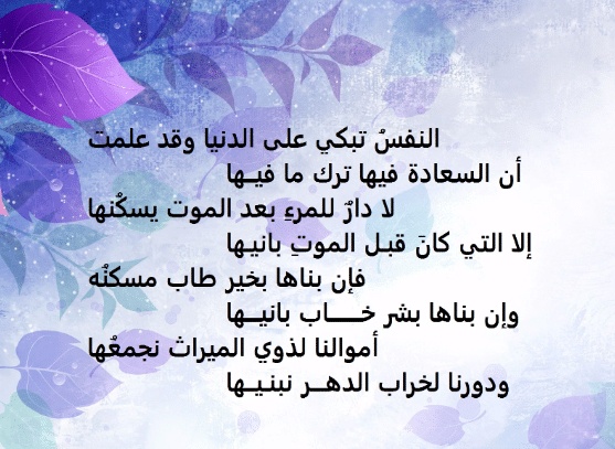 اشعار عن الدنيا