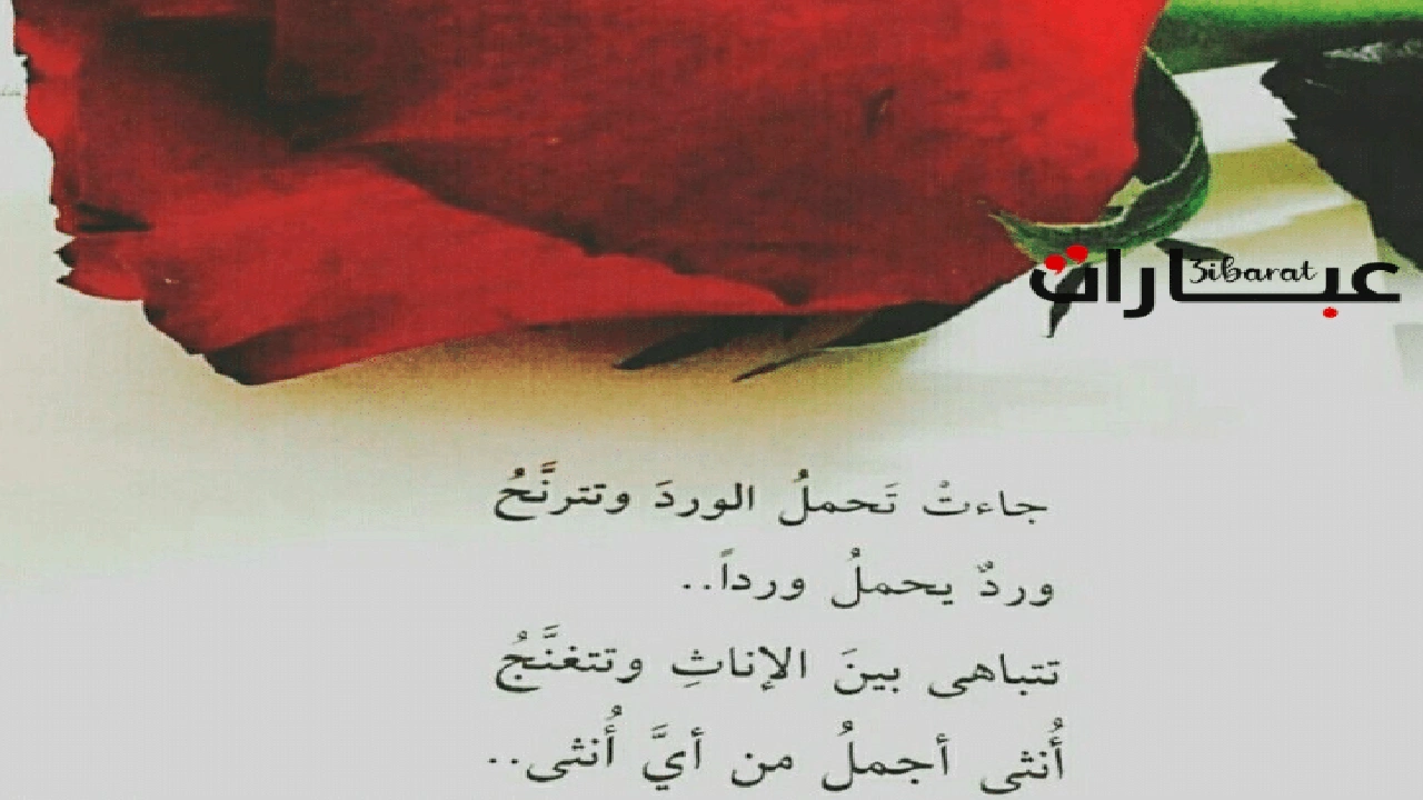 صورة اشعار عن الزهور