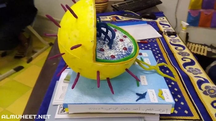 اشكال مطويات روعه بالصور اشكال مطويات بالورق الملون بالخطوات، اشكال مطويات العلوم