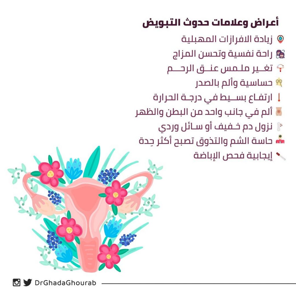 اشياء تساعد على خروج البويضة