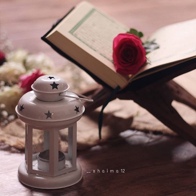 افتارات شباب