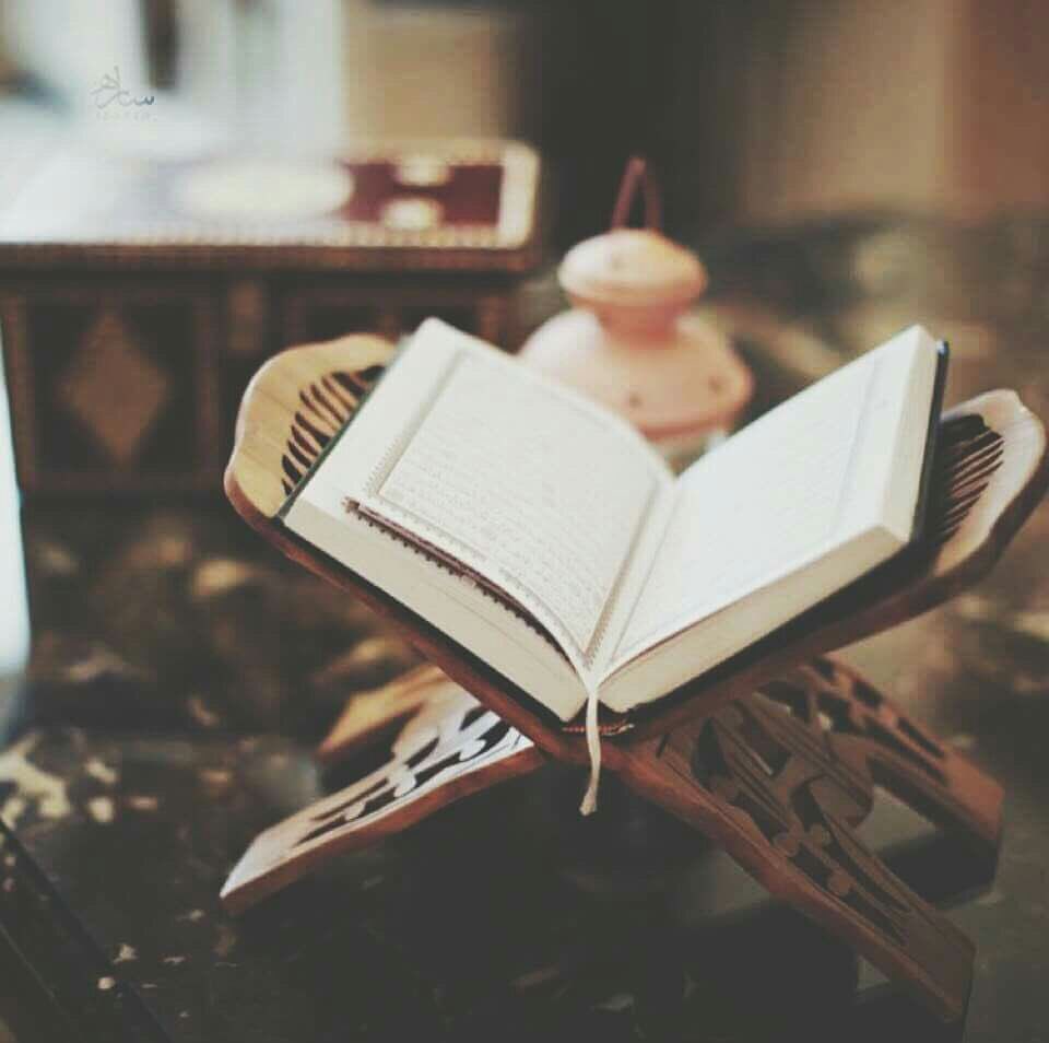 افتارات شباب