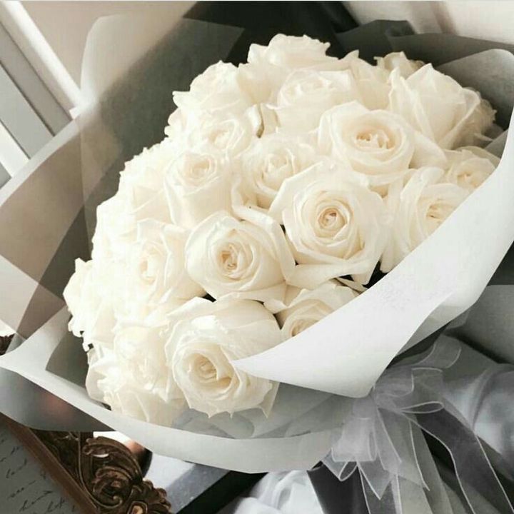 افتارات شباب