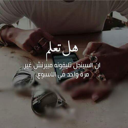 افتارات ورد