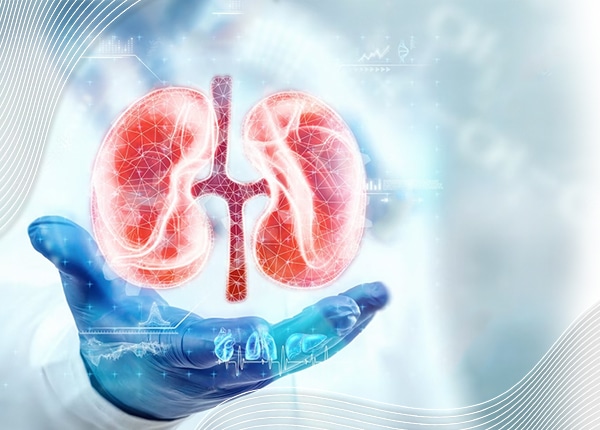 افضل دكتور كلى بالكويت