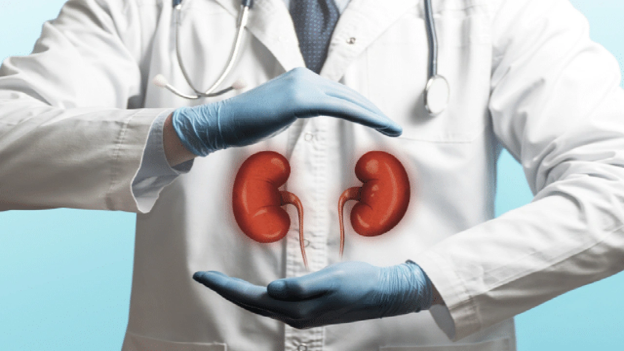 صورة افضل دكتور كلى في الرياض