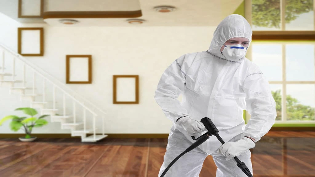 صورة افضل شركة شركة مكافحة حشرات بجدة