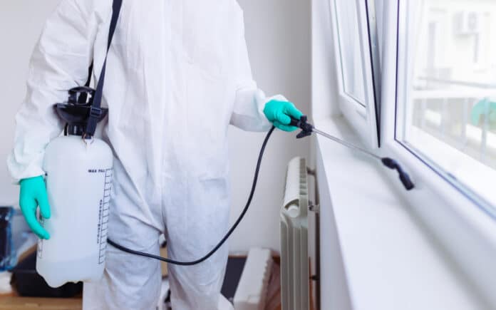 افضل شركة شركة مكافحة حشرات بمكة