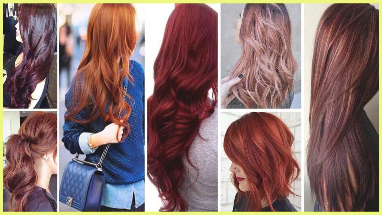 صورة افضل شركة صبغة شعر